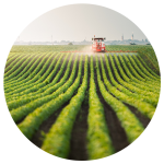 Circle-application-Agriculture Circle-application-Agriculture