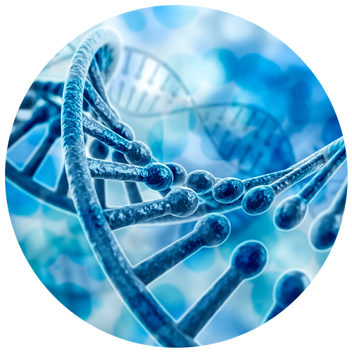 biopharma application image